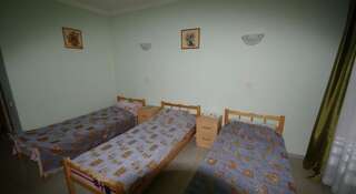 Гостевой дом Dobro pozhalovat Mini otel Бетта Двухместный номер с 1 кроватью или 2 отдельными кроватями -17